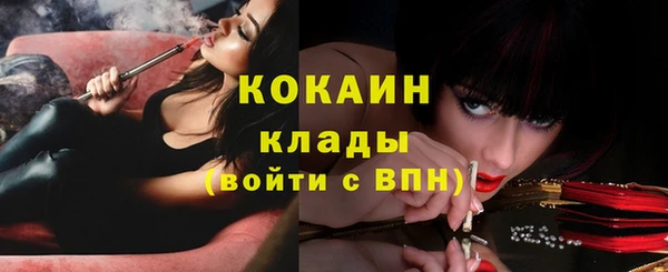 спиды Алзамай